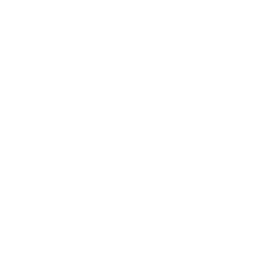 FreshKiwi